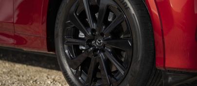 Mazda CX-60 (2023) - picture 52 of 94