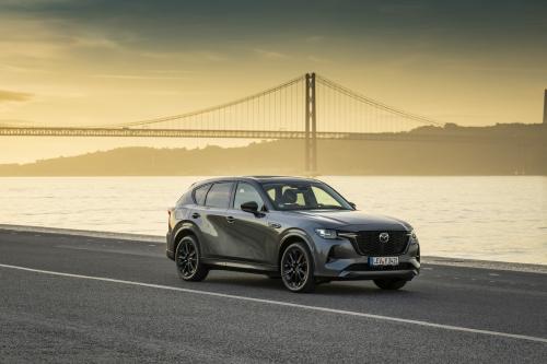 Mazda CX-60 (2023) - picture 1 of 94