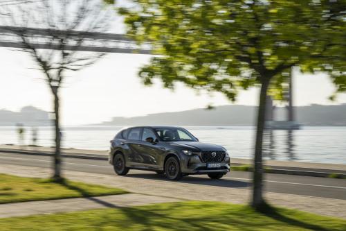 Mazda CX-60 (2023) - picture 9 of 94