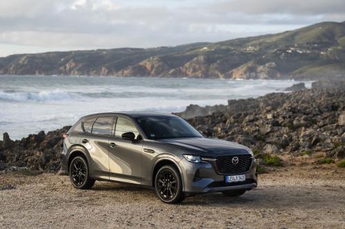 Mazda CX-60 (2023) - picture 17 of 94