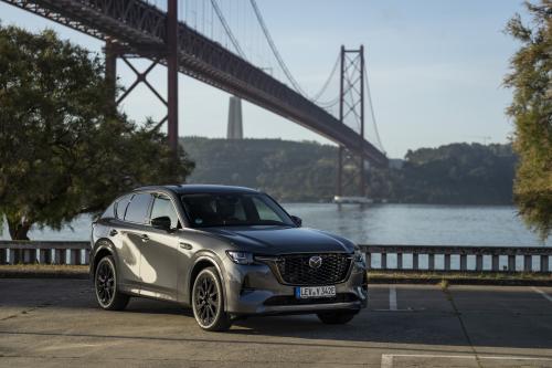 Mazda CX-60 (2023) - picture 24 of 94