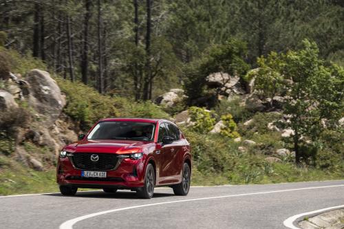 Mazda CX-60 (2023) - picture 33 of 94