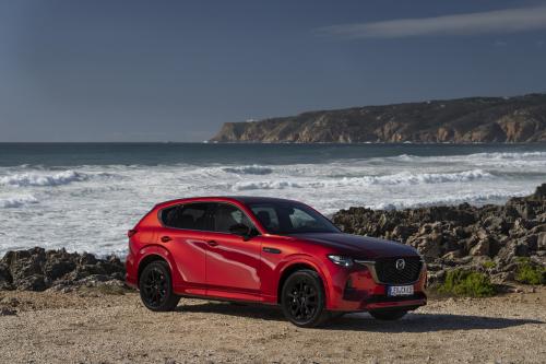 Mazda CX-60 (2023) - picture 48 of 94
