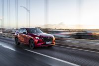 Mazda CX-60 (2023) - picture 29 of 94