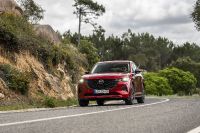 Mazda CX-60 (2023) - picture 30 of 94