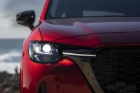 Mazda CX-60 (2023) - picture 45 of 94