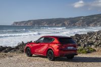 Mazda CX-60 (2023) - picture 53 of 94