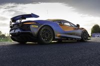 McLaren Artura GT4 (2023) - picture 3 of 5