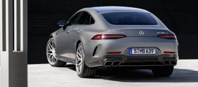 Mercedes-Benz AMG GT63 S 4-Door (2023) - picture 20 of 29