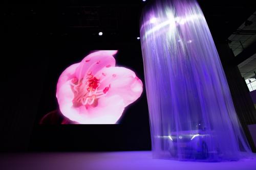 Nissan Sakura EV (2023) - picture 32 of 75