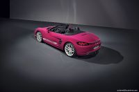 Porsche 718 Style Edition (2023)