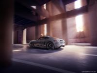 Porsche 718 Style Edition (2023)