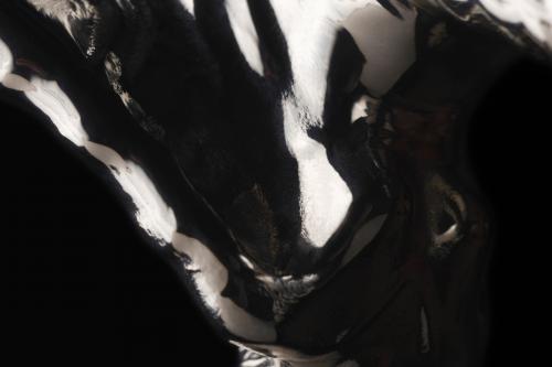 Rolls-Royce Phantom Series II (2023) - picture 40 of 49