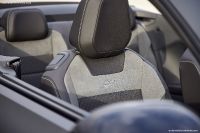 Volkswagen T-Roc Cabriolet Grey Edition (2023)