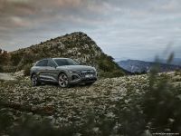 Audi Q8 e-tron quattro (2024)