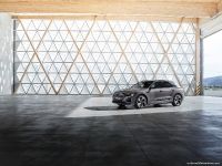 Audi Q8 e-tron quattro (2024)