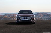 Audi Q8 Sportback e-tron quattro (2024)