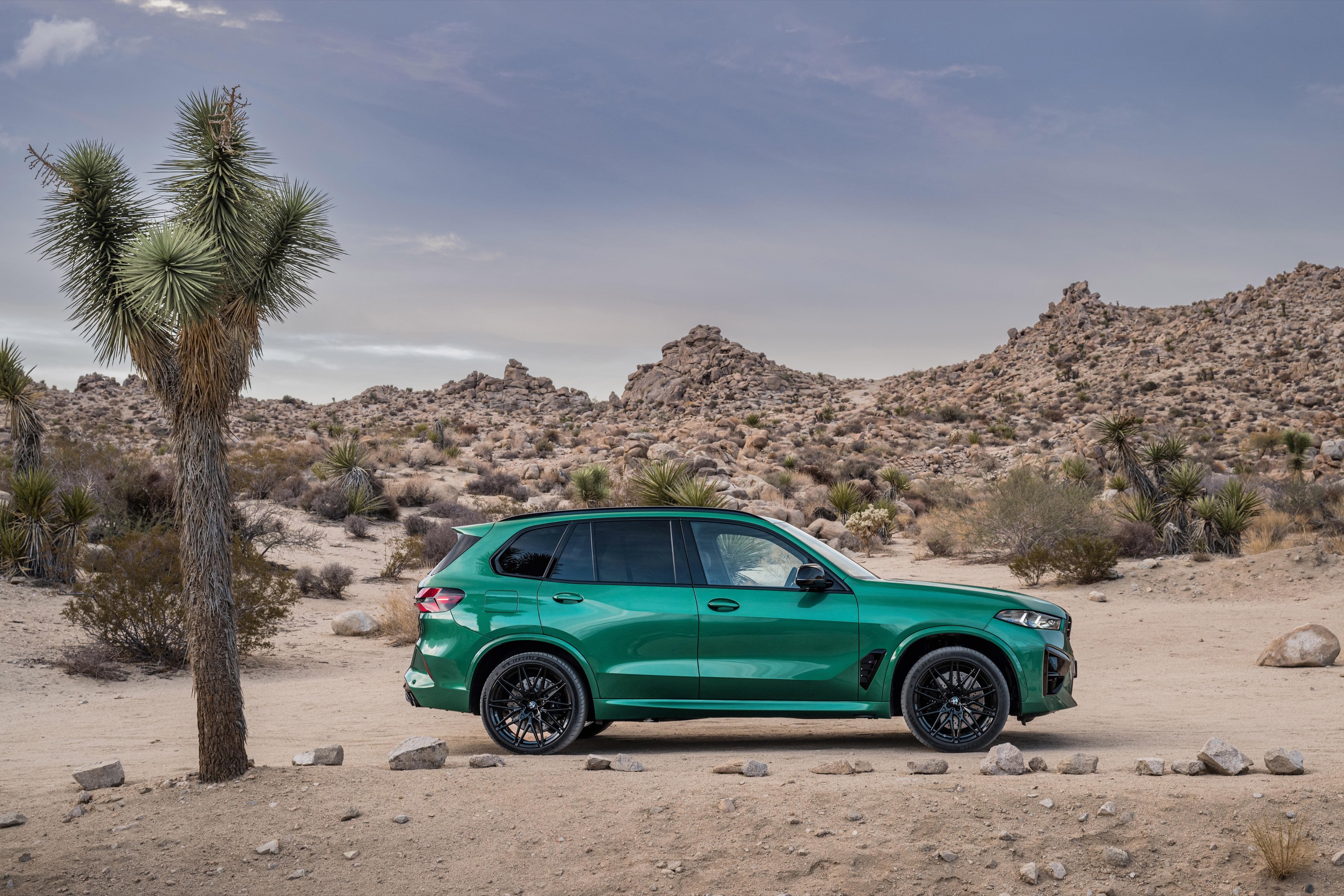 BMW X5 M Competition (2024) picture 31 of 84