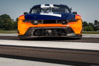 Ford Mustang GT3 Racecar (2024)