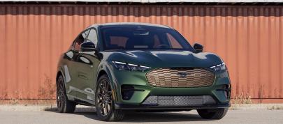 2024 Ford Mustang Mach-E GT Bronze Appearance Package