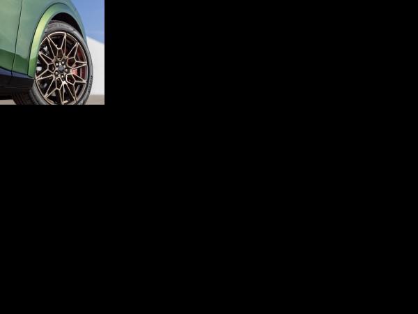 Ford Mustang Mach-E GT Bronze Appearance Package (2024) - picture 13 of 13