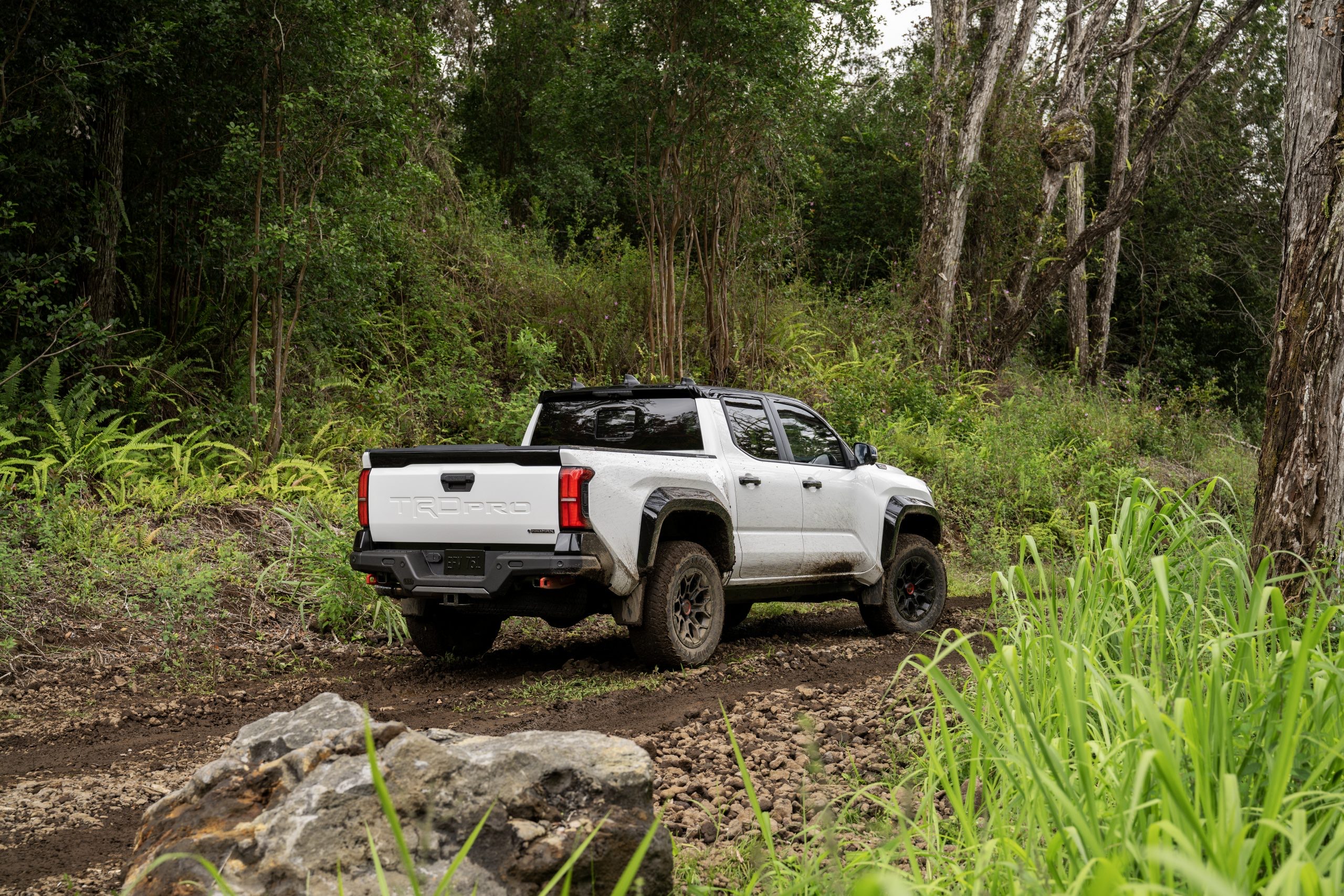 2024 Toyota Tacoma