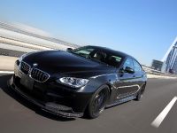 3D Design BMW M6 GranCoupe (2013) - picture 7 of 11