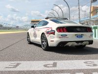 50-Year Limited Edition 2015 Ford Mustang