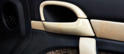 955 Cayenne by MANSORY (2009) - picture 20 of 38