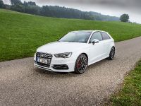 ABT  Audi S3 (2013) - picture 2 of 9