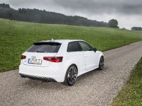 ABT  Audi S3 (2013) - picture 4 of 9