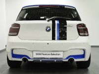 Abu Dhabi BMW 1-Series M135i (2014) - picture 10 of 11