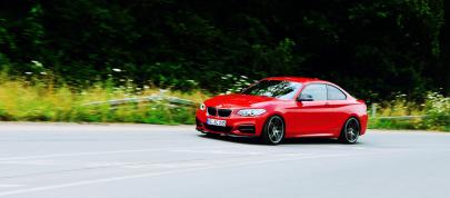 AC Schnitzer BMW 2-Series Coupe (2014) - picture 15 of 18