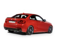 AC Schnitzer BMW 2-Series Coupe (2014) - picture 3 of 18