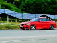 AC Schnitzer BMW 2-Series Coupe (2014) - picture 13 of 18