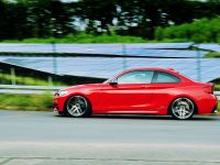 AC Schnitzer BMW 2-Series Coupe (2014) - picture 14 of 18