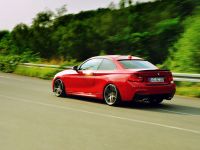 AC Schnitzer BMW 2-Series Coupe (2014) - picture 18 of 18