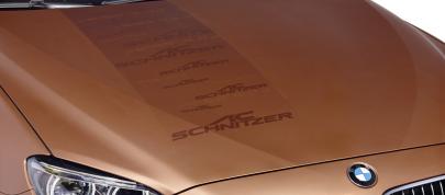 AC Schnitzer BMW 6-Series Gran Coupe Copper Edition (2013) - picture 12 of 16