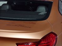 AC Schnitzer BMW 6-Series Gran Coupe Copper Edition (2013)
