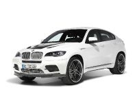 AC Schnitzer BMW X6 M (2010)