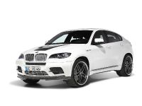 AC Schnitzer BMW X6 M (2010) - picture 18 of 31