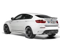 AC Schnitzer BMW X6 M (2010) - picture 22 of 31