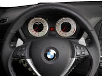 AC Schnitzer BMW X6 M (2010) - picture 30 of 31