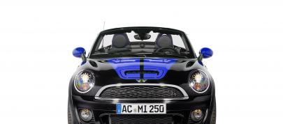 AC Schnitzer MINI Color Concepts (2013) - picture 4 of 34