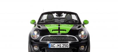 AC Schnitzer MINI Color Concepts (2013) - picture 7 of 34