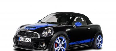 AC Schnitzer MINI Color Concepts (2013) - picture 12 of 34