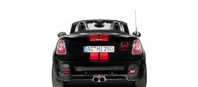 AC Schnitzer MINI Color Concepts (2013) - picture 28 of 34