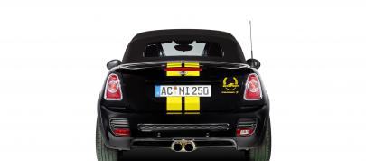 AC Schnitzer MINI Color Concepts (2013) - picture 31 of 34