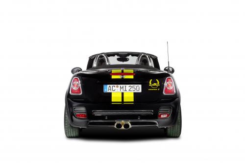 AC Schnitzer MINI Color Concepts (2013) - picture 32 of 34