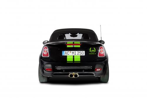 AC Schnitzer MINI Color Concepts (2013) - picture 33 of 34